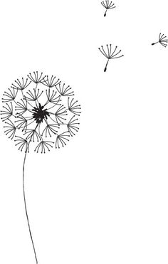 Dandelion Graphic, Dandelion Vector, Dandelion Drawing, Cool Drawing, Pencil Drawing Tutorials, Cool Pencil Drawings, Drawing Drawing, Pola Sulam, Stick Figure