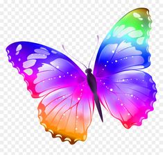 a colorful butterfly on a white background with no background, hd png clipart