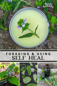 a collage of photos with herbs and plants in them, including the words forging and using self heal