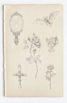 an old book with drawings of flowers and bats on the pages, including a cross