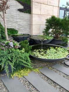 an outdoor garden with plants and water features