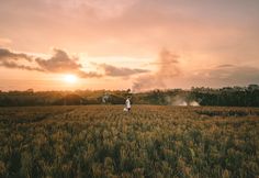 13 x Things To Do in Canggu, Bali – The Full Guide Rice Paddies, Top Tips, Bali, Things To Do, Surfing, Rice, Indonesia