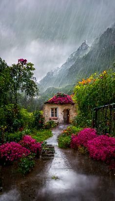 a small house surrounded by flowers in the rain