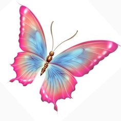 a pink and blue butterfly on a white background