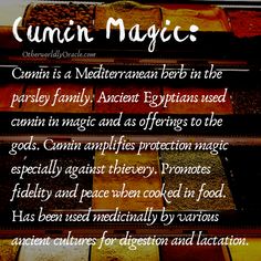 Magical Properties of Food: The Kitchen Witch's Food List Kitchen Witch Recipes, Magickal Herbs, Witch Herbs, Witch Tarot, Magic Herbs, Kitchen Witchery, Magical Herbs, Wiccan Spell Book, Witchcraft Spell Books