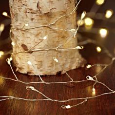 a birch tree with some lights on it