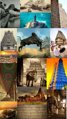 Tamil is world's first language Tamil Art Culture, Tamil Culture, Studio Background Ideas, Tamil New Year, Lion Art Tattoo, New Year Art, Warriors Wallpaper, Tourism Poster