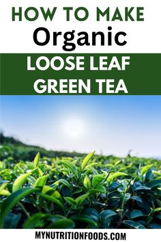 how to make organic loose leaf green tea