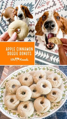 there is a collage of pictures with dogs and donuts in them, including an apple cinnamon doughnuts