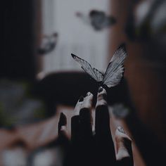 a person's hand holding a tiny butterfly in front of a window with birds flying around