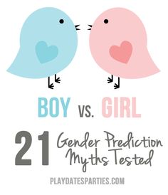 two blue and pink birds with the words boy vs girl gender protection mys tested