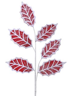 a red and white leaf with snow on the leaves is in front of a white background