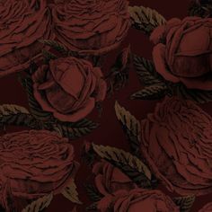 a bunch of red roses with green leaves on a dark background, seamless wallpaper