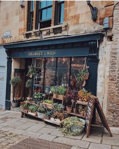 a store front with plants and potted plants on display outside the window, in an old european town