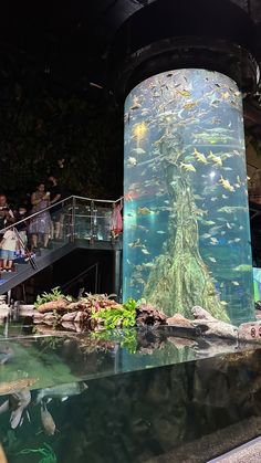 an aquarium filled with lots of different types of fish and people looking at the water