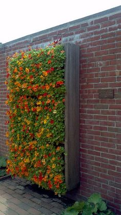 a brick wall covered in colorful flowers next to a wooden door and planter box