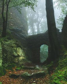 a stone bridge in the middle of a forest with moss growing on it's sides