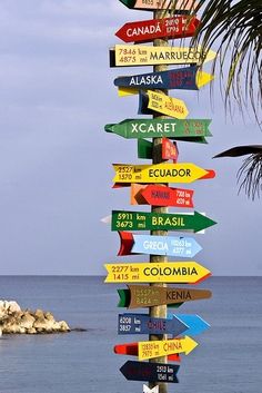 a pole with many different colored signs on it near the ocean and rocks in the background