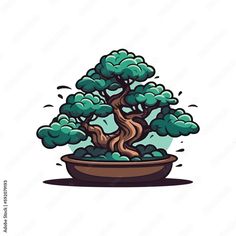 a bonsai tree in a pot on a white background