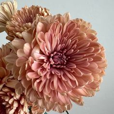 a vase filled with pink flowers on top of a table