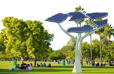 several people are sitting on the grass near a tree with solar panels attached to it