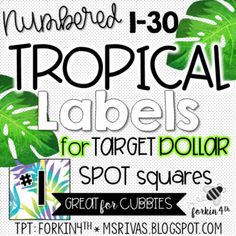 the tropical labels for target dollar spot squares are shown in black and white with green leaves