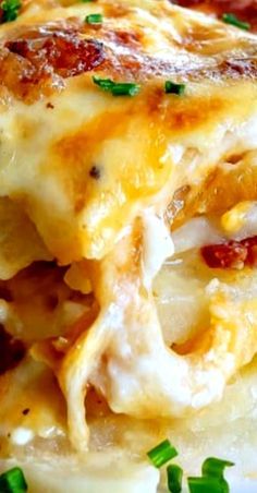 a close up of a plate of lasagna casserole with meat and cheese