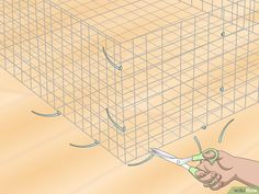 How to Make a C and C Cage for a Guinea Pig: 14 Steps C And C Cage, Guinea Pig Information, Hedgehog Cage, Diy Guinea Pig Cage, C&c Cage, Guinea Pig Accessories, Pig Stuff