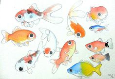 a group of different colored fish on a white paper with watercolor pencils in it