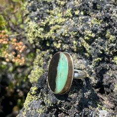 Jamie Joseph Ring Indonesian Opalized Petrified Wood Size 6.5 Jamie Joseph Jewelry, Ring Color, Petrified Wood, Wood Sizes, Womens Jewelry Rings, Black Green, Ring Size, Women Jewelry, Size 6