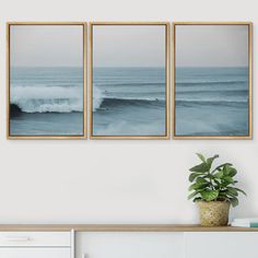 three framed pictures hang on the wall next to a potted plant in front of a white dresser