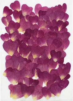 purple petals are arranged in the shape of hearts