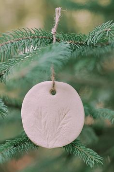 an ornament hanging from a pine tree