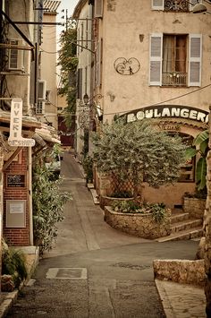 an alley way with buildings and plants on either side, in the middle of it is a sign that reads collager