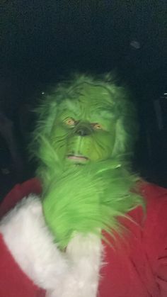 there is a man dressed as the grinch in this photo and he has green hair