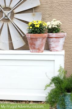 three potted plants sitting on top of a white bench