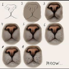 an animal's nose is shown with different angles and shapes to make it look like its