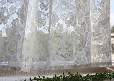 an open window with white lace curtains and green leaves