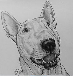 a drawing of a dog with his tongue out