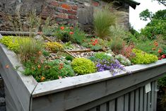 a garden filled with lots of different types of flowers next to a brick wall and building