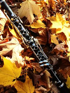 an old flute laying on the ground surrounded by leaves