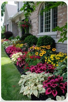 colorful flowers line the side of a house