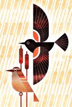 two birds flying next to each other on a white and orange background with circles around them