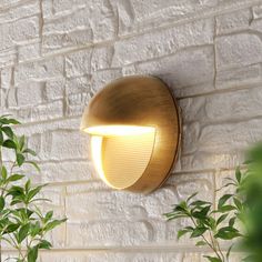 a light that is on the side of a wall next to a potted plant