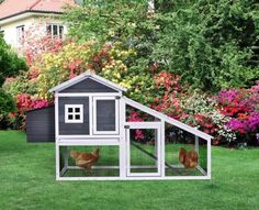 a chicken coop in the middle of a yard