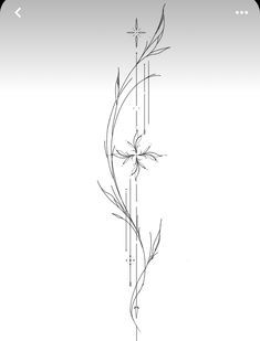 a line drawing of a flower on a white background with an arrow in the middle