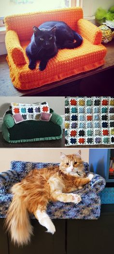 there are pictures of cats laying on couches