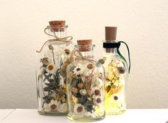 three glass bottles with dried flowers in them