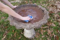 a person is cleaning a bird bath in the grass with a blue brush and rag