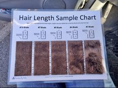 a person holding up a sign with hair length samples